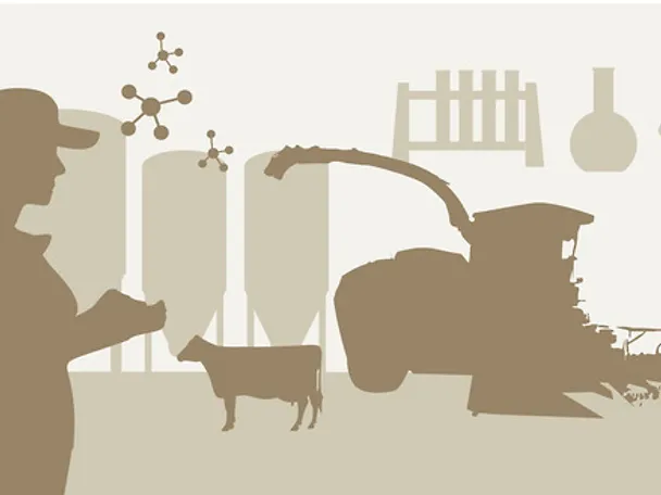 Frau Mähdrescher Kuh Silos Frau Mähdrescher Kuh Silos