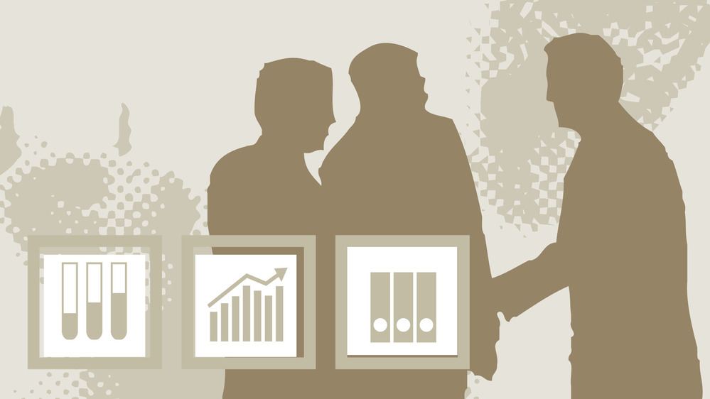 H. Wilhelm Schaumann Stiftung H. Wilhelm Schaumann Stiftung